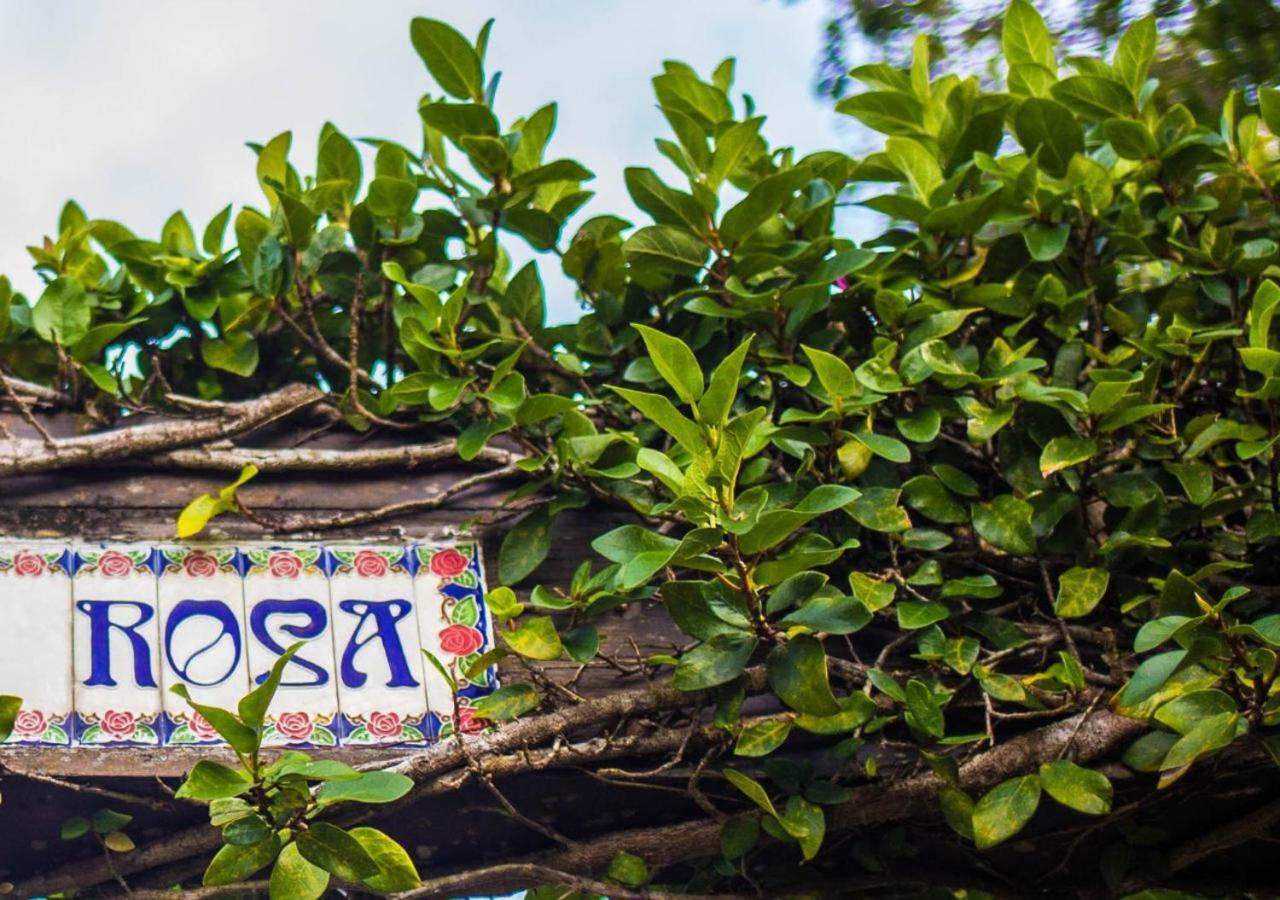 旅馆 Paraiso Hostel Praia Do Rosa